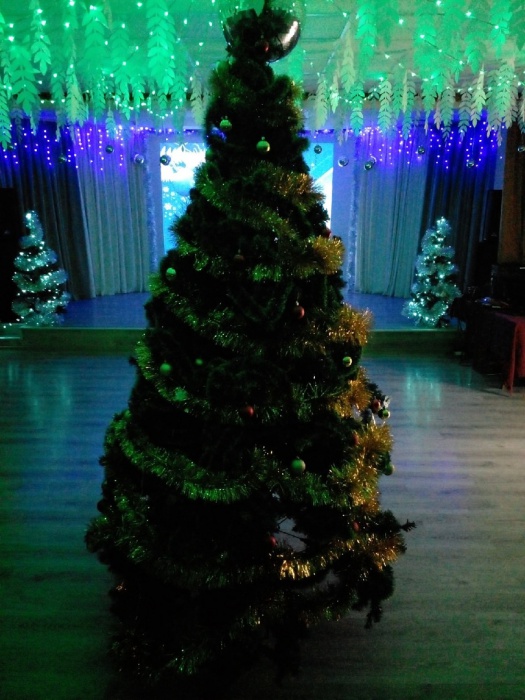 Открытие новогодней елки в селе Сосново