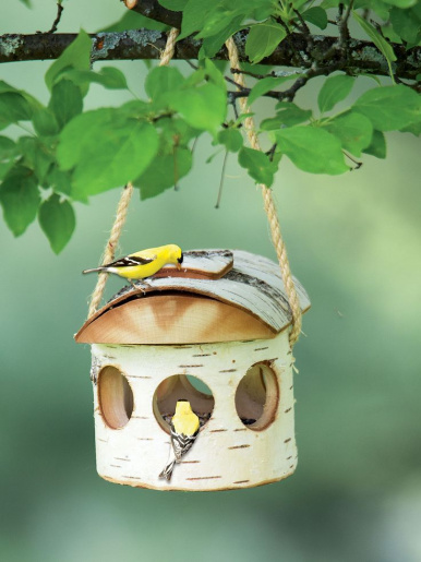 Изготовим домик (скворечник или кормушка) для птиц